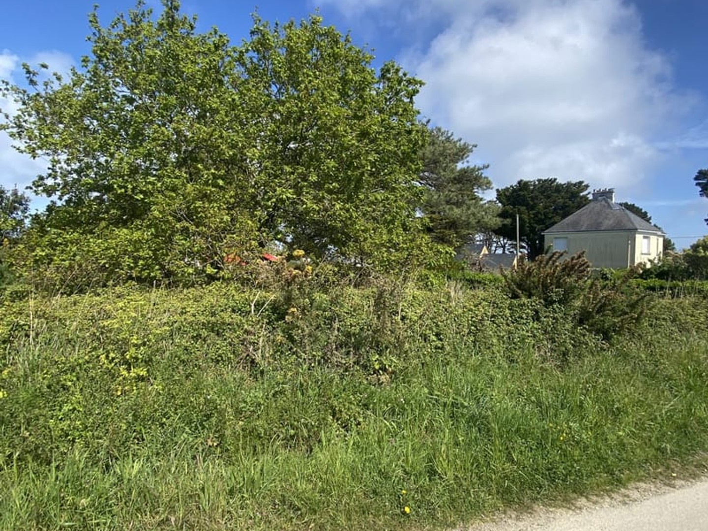 Terrain à vendre - 289m2 - Groix (56590)