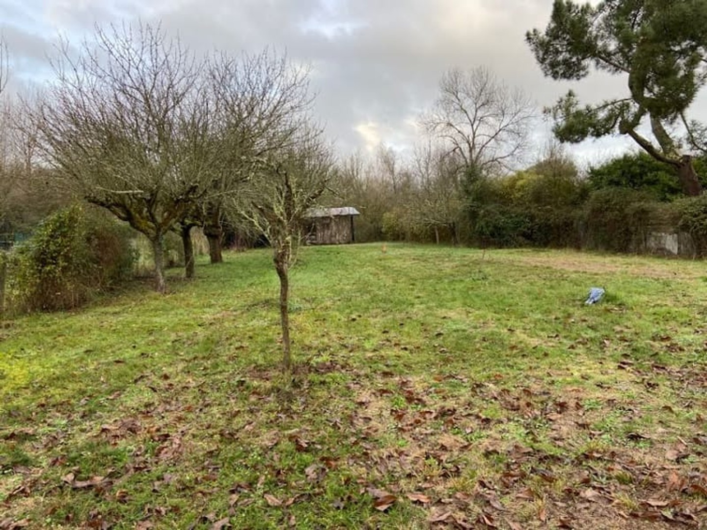 Terrain 1069 m²