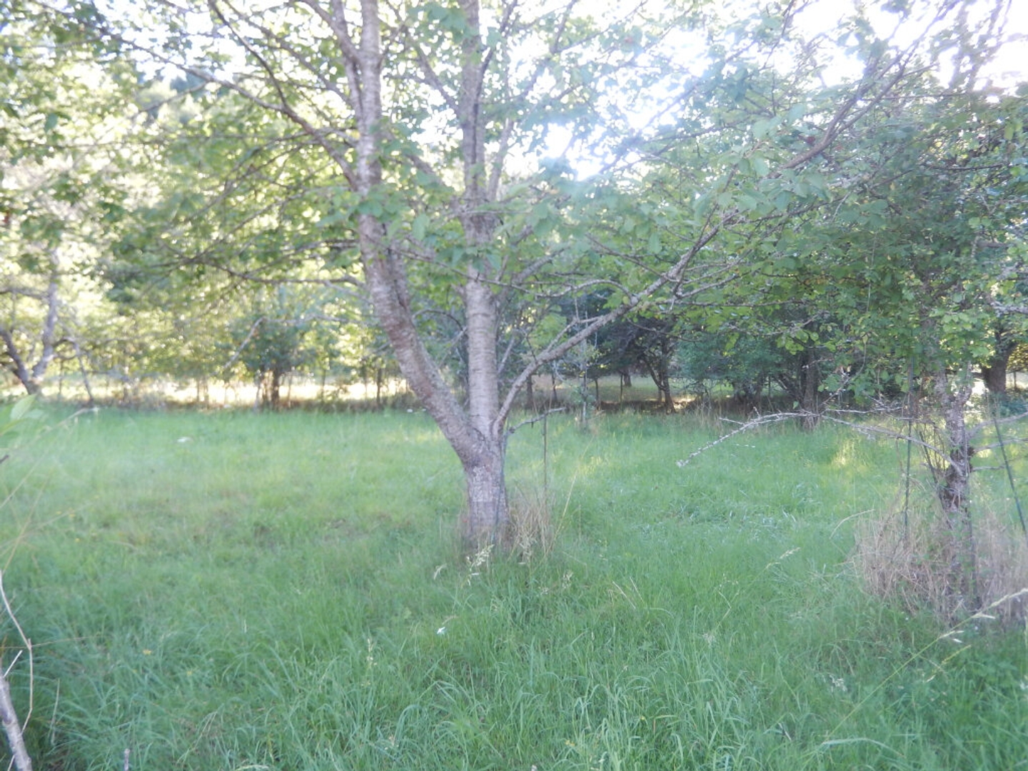 SAINT SYMPHORIEN DE MARMAGNE - Terrain constructible de 1173 m².