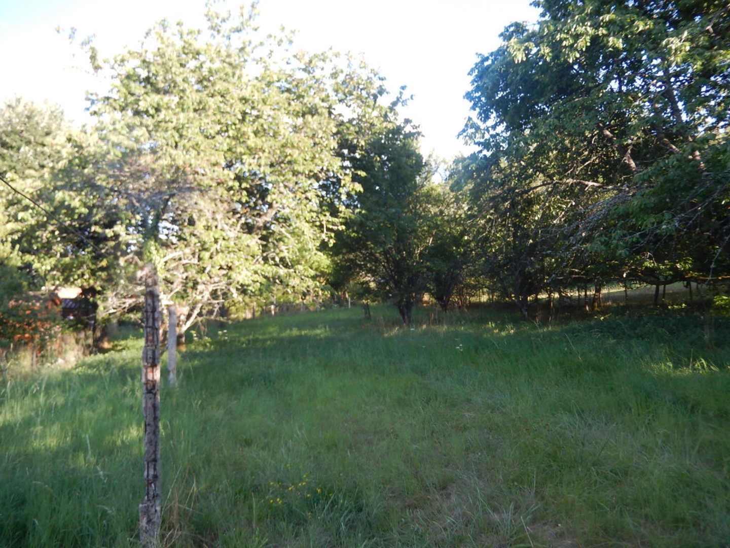 Terrain à vendre - 1173m2 - Saint-Symphorien-... (71710)