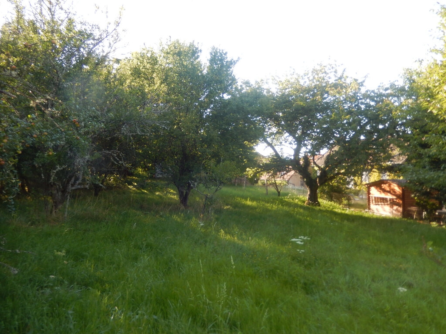 Terrain à vendre - 1173m2 - Saint-Symphorien-... (71710)