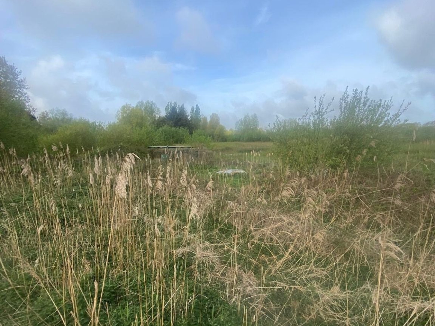 Terrain 29404 m²