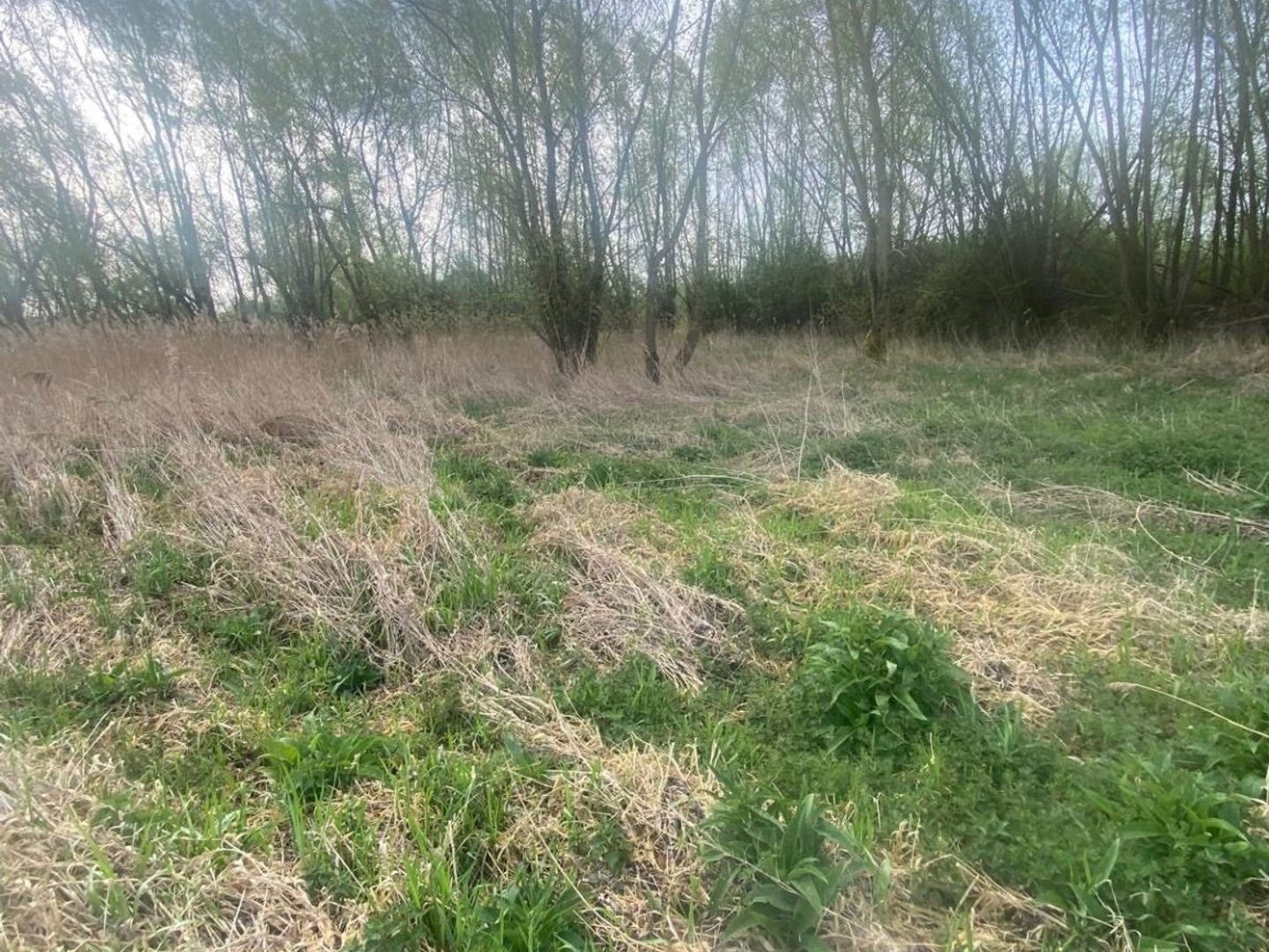 Terrain à vendre - 29404m2 - Guînes (62340)