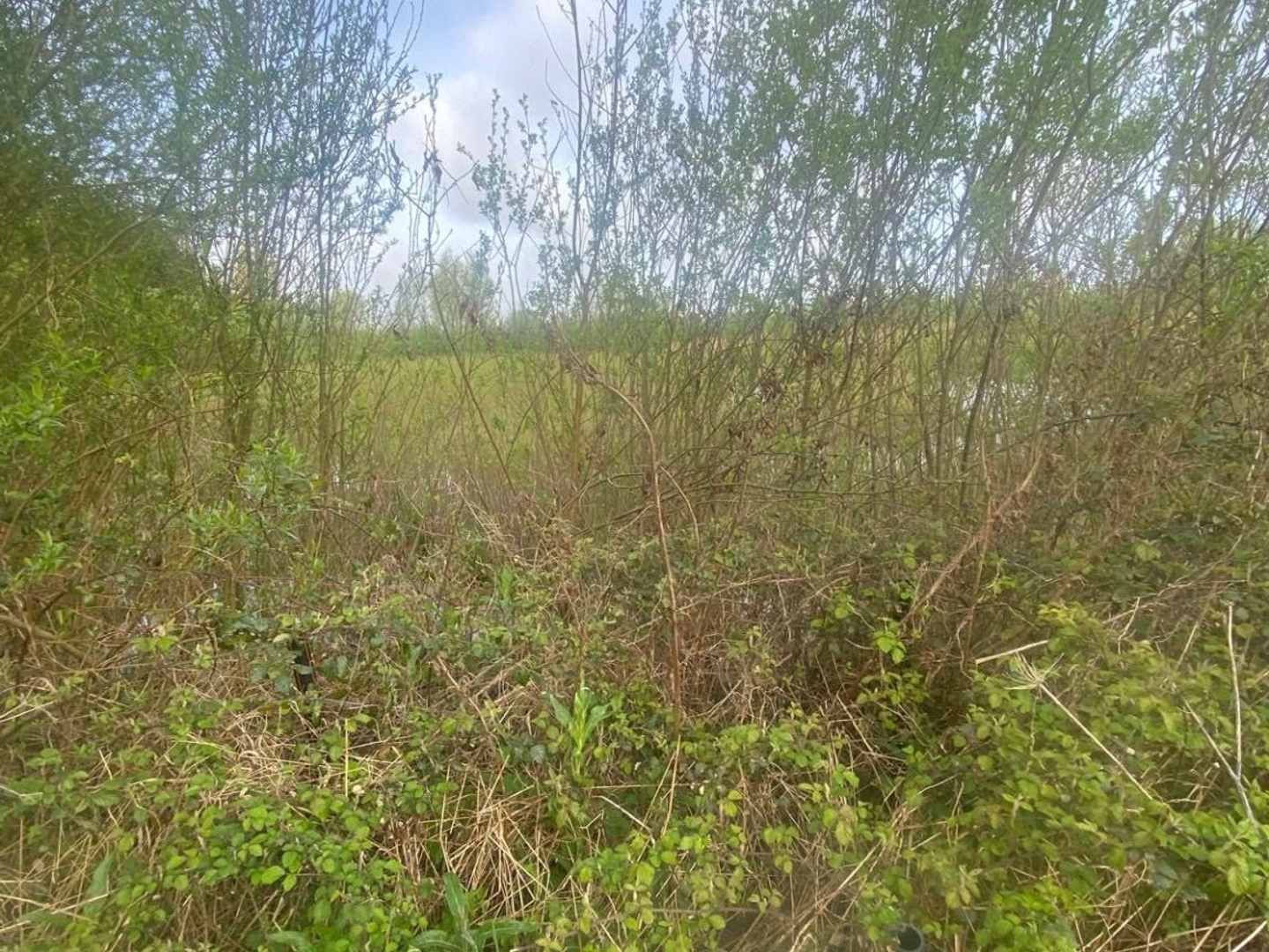 Terrain à vendre - 29404m2 - Guînes (62340)