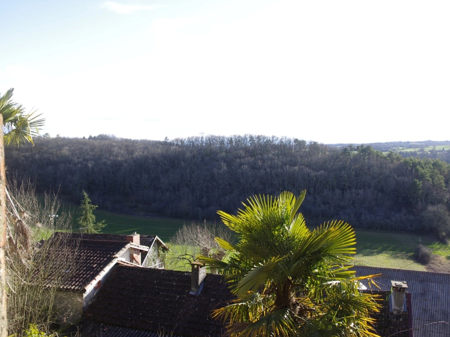 Maison à vendre - 1 pièce - 40m2 - Montesquiou (32320)
