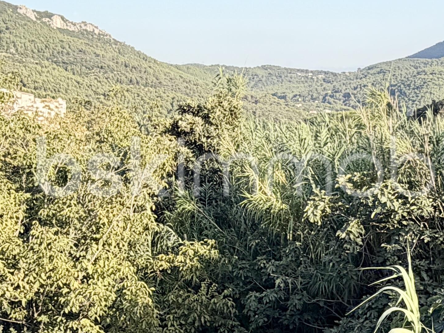 Maison à vendre - 5 pièces - 122m2 - Le Revest-Les-Eaux (83200)