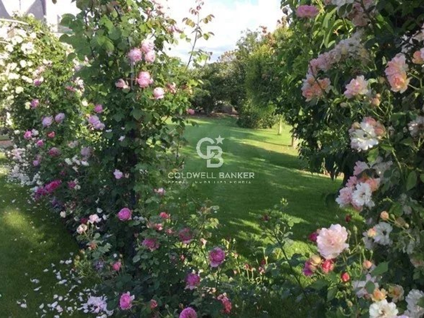 Maison à vendre - 20 pièces - 700m2 - Saumur (49400)