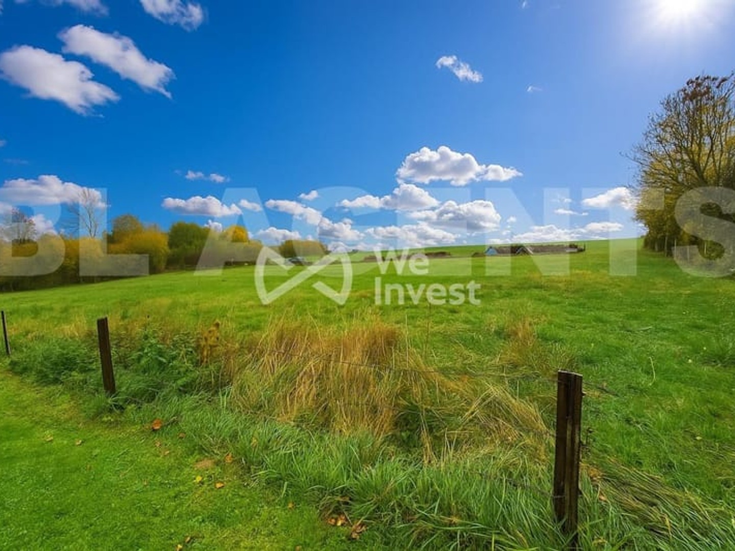 Terrain 3379 m²