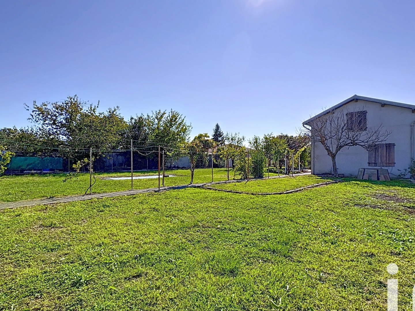 Terrain 981 m²
