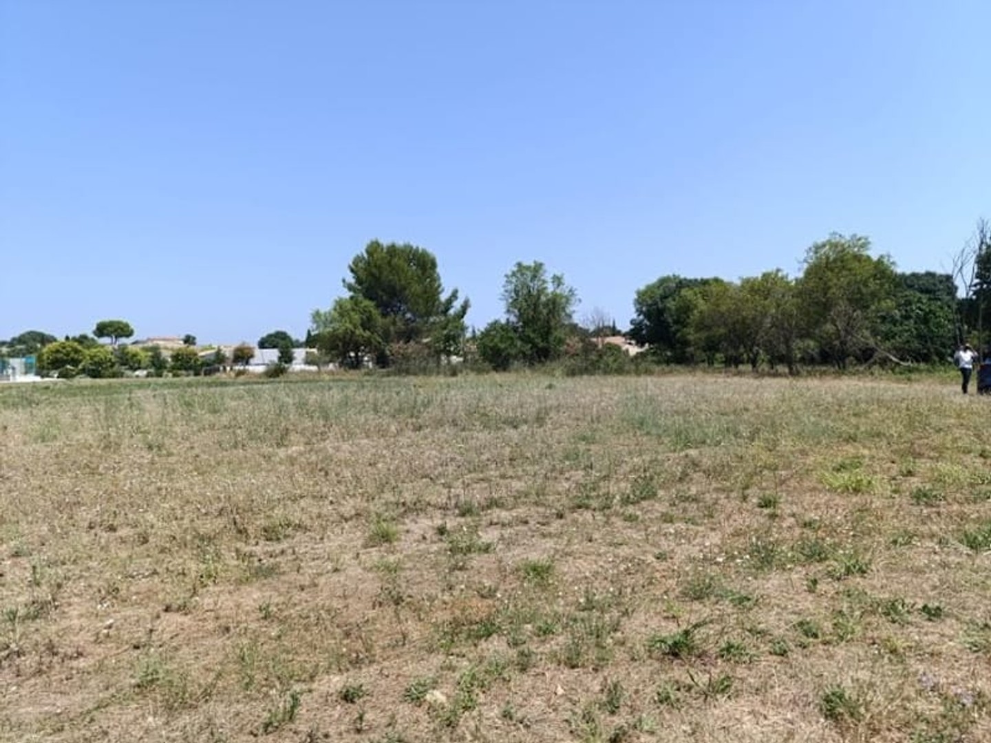 Terrain 719 m²