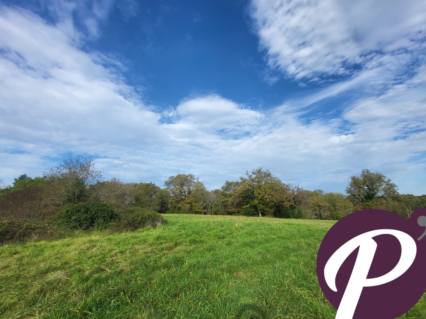 Terrain 14806 m²