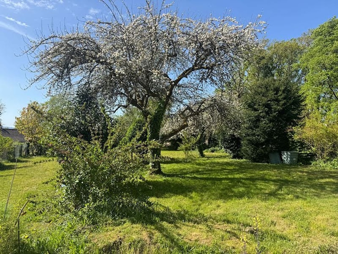 Maison à vendre - 3 pièces - 103m2 - Saint-Dizier-Masb... (23400)