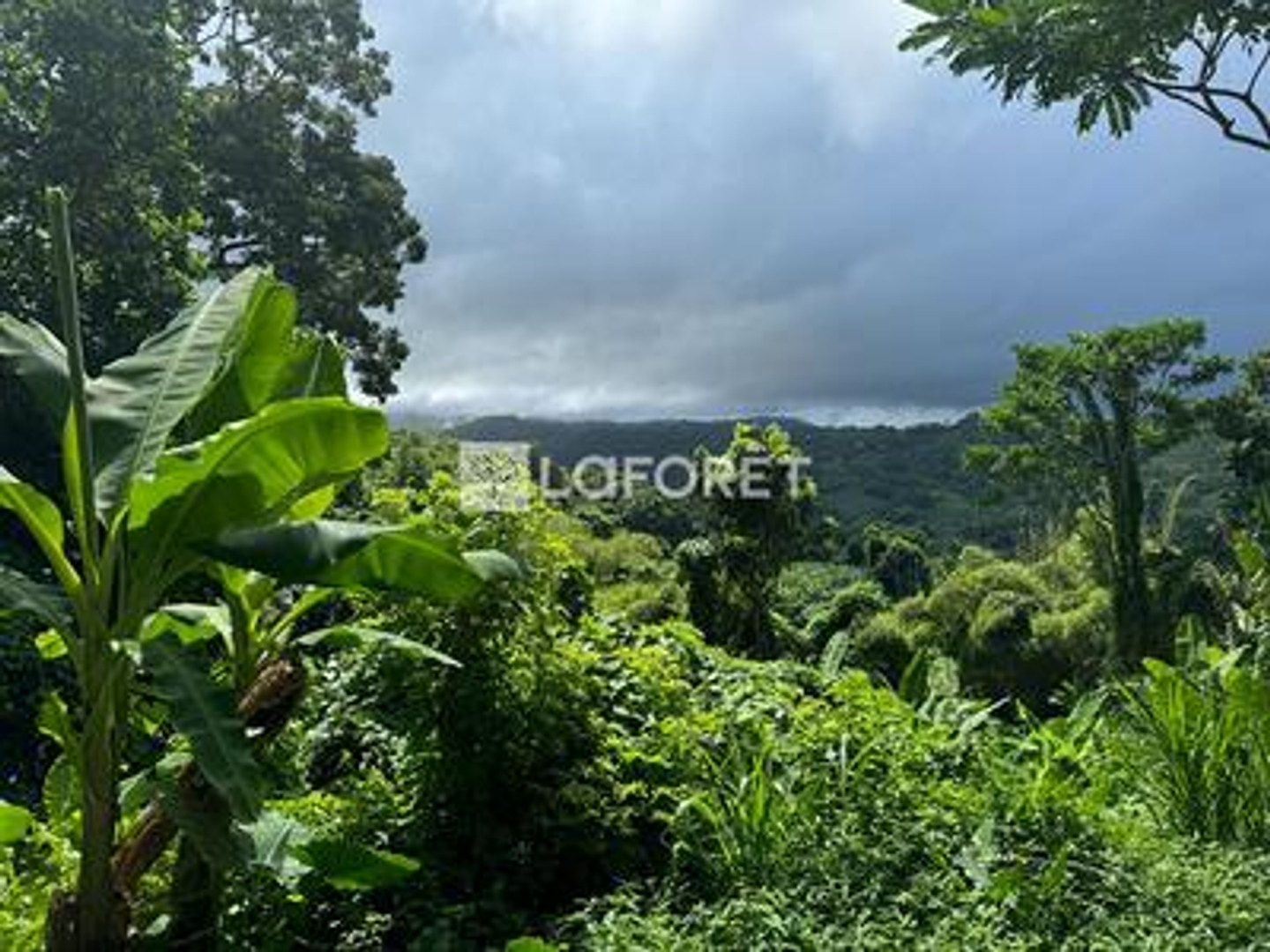 A vendre : Terrain 8505 m² au Lorrain