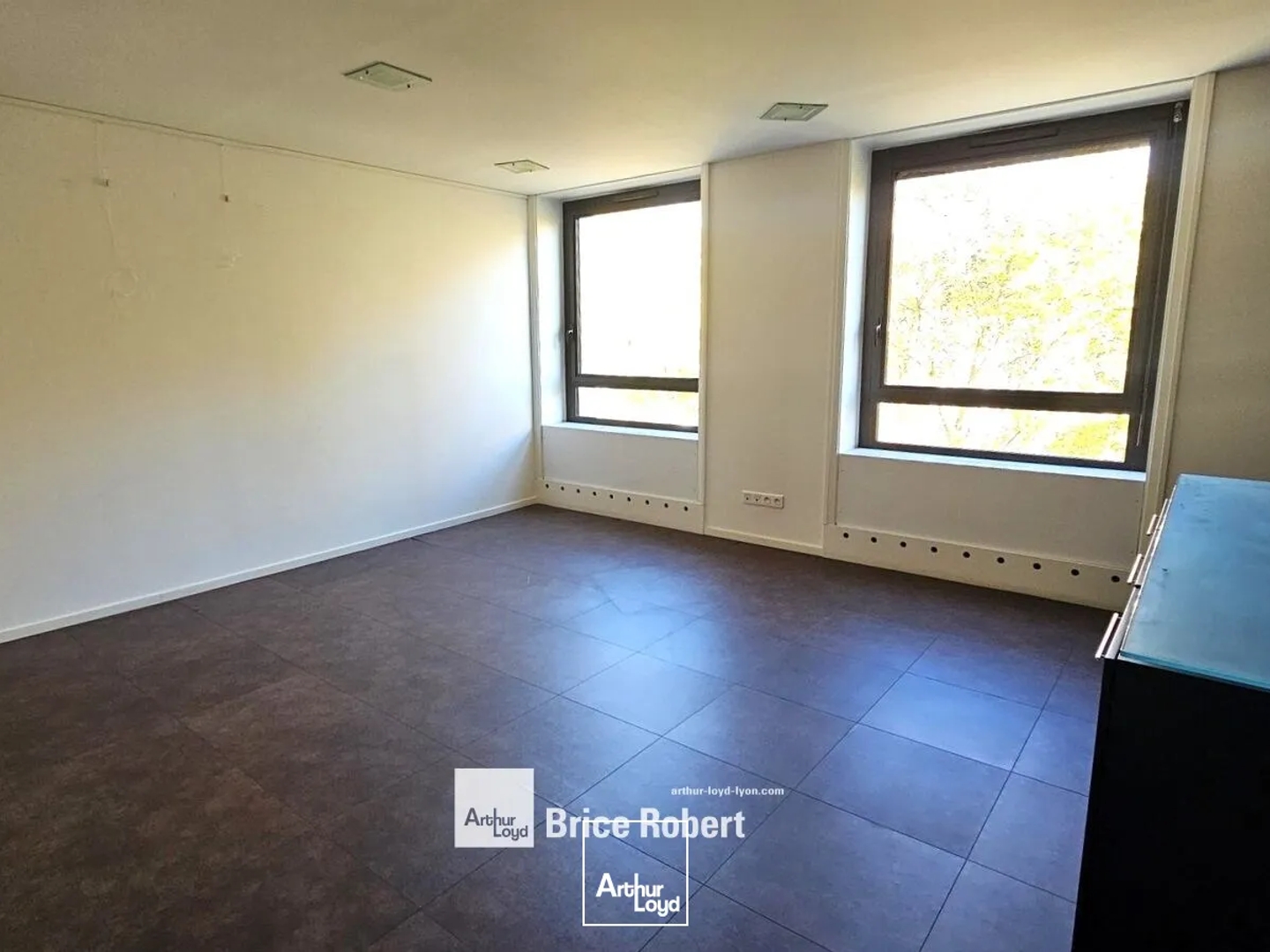 Bureaux à vendre - 214m2 - Lyon 9e (69009)