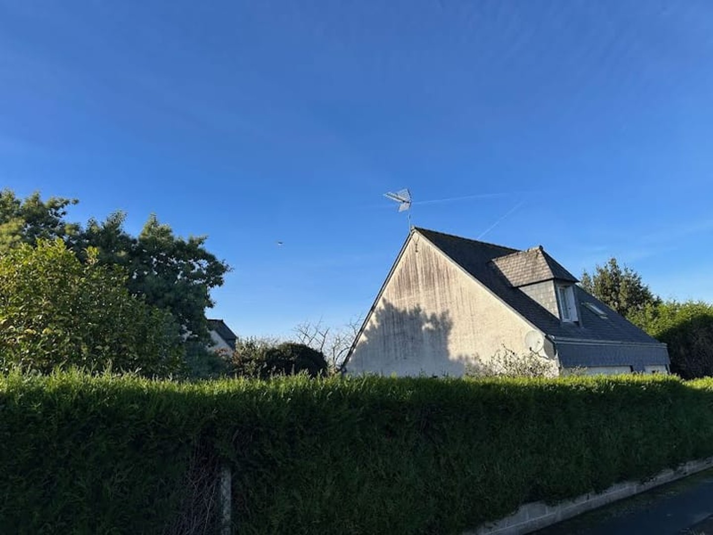 Viager 4 pièces 90 m²