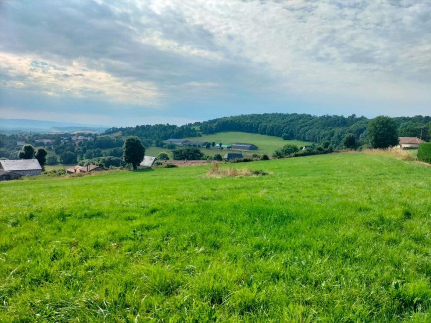 Terrain en individuel 9101 m²