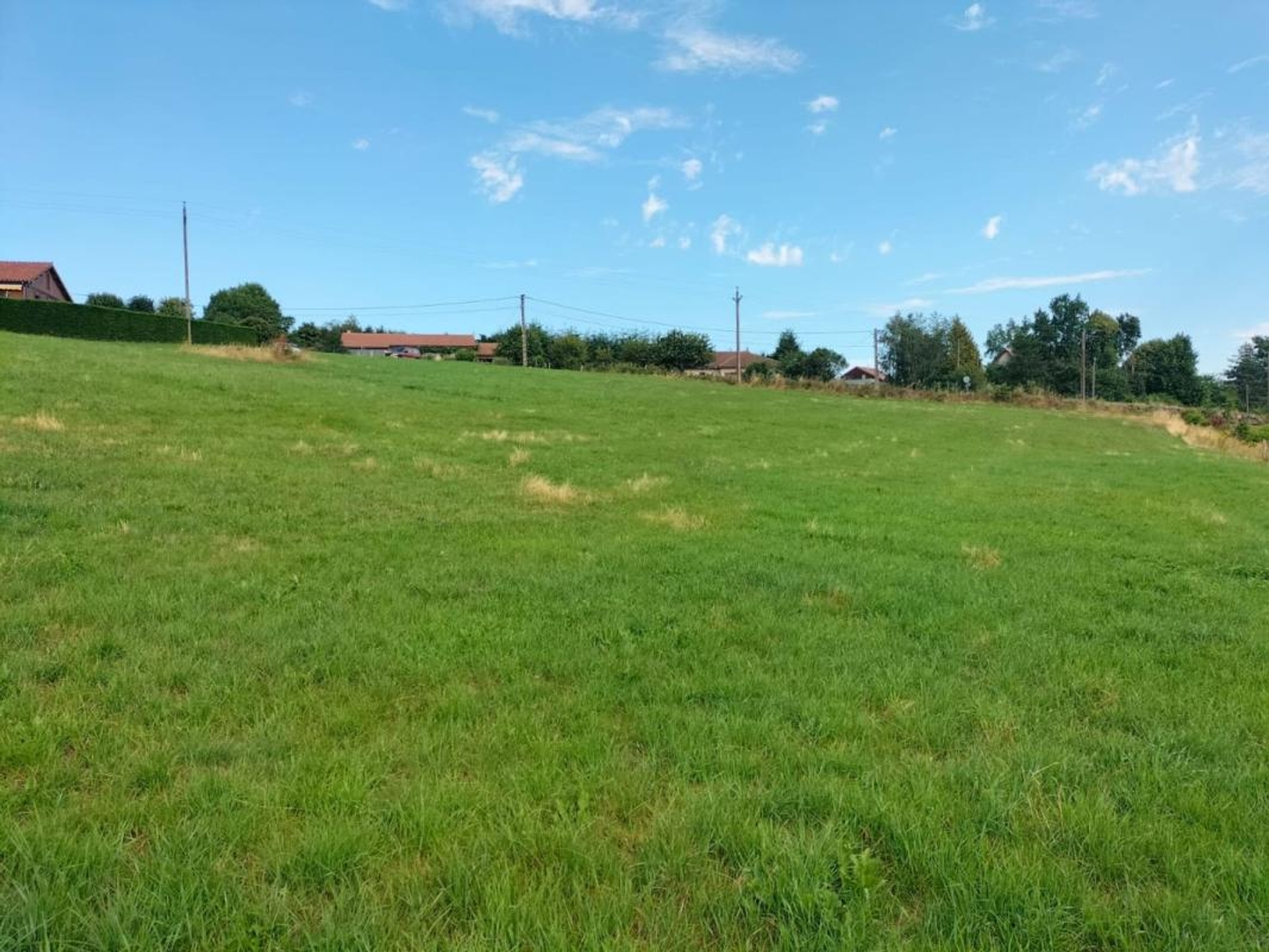 Terrain à vendre - 9101m2 - Saint-Flour (15100)