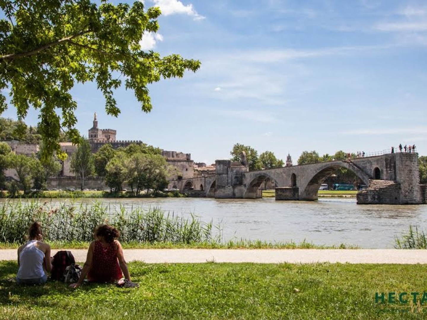 Terrain à vendre - 537m2 - Avignon (84000)