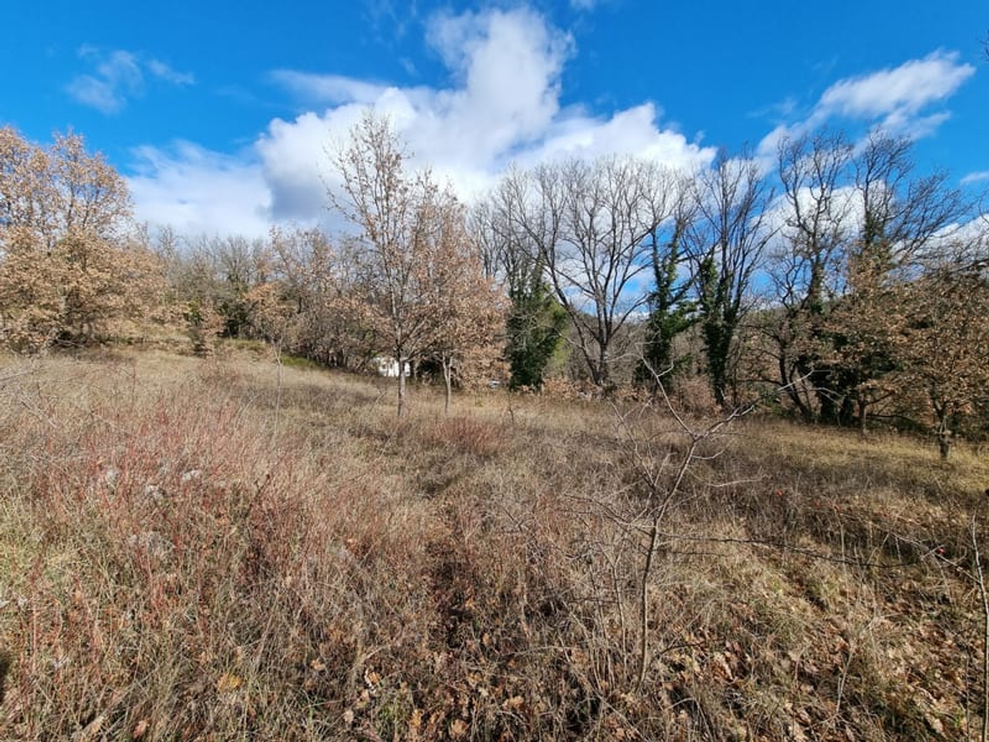 A QUINSON, parcelle de 636m2 constructible au calme