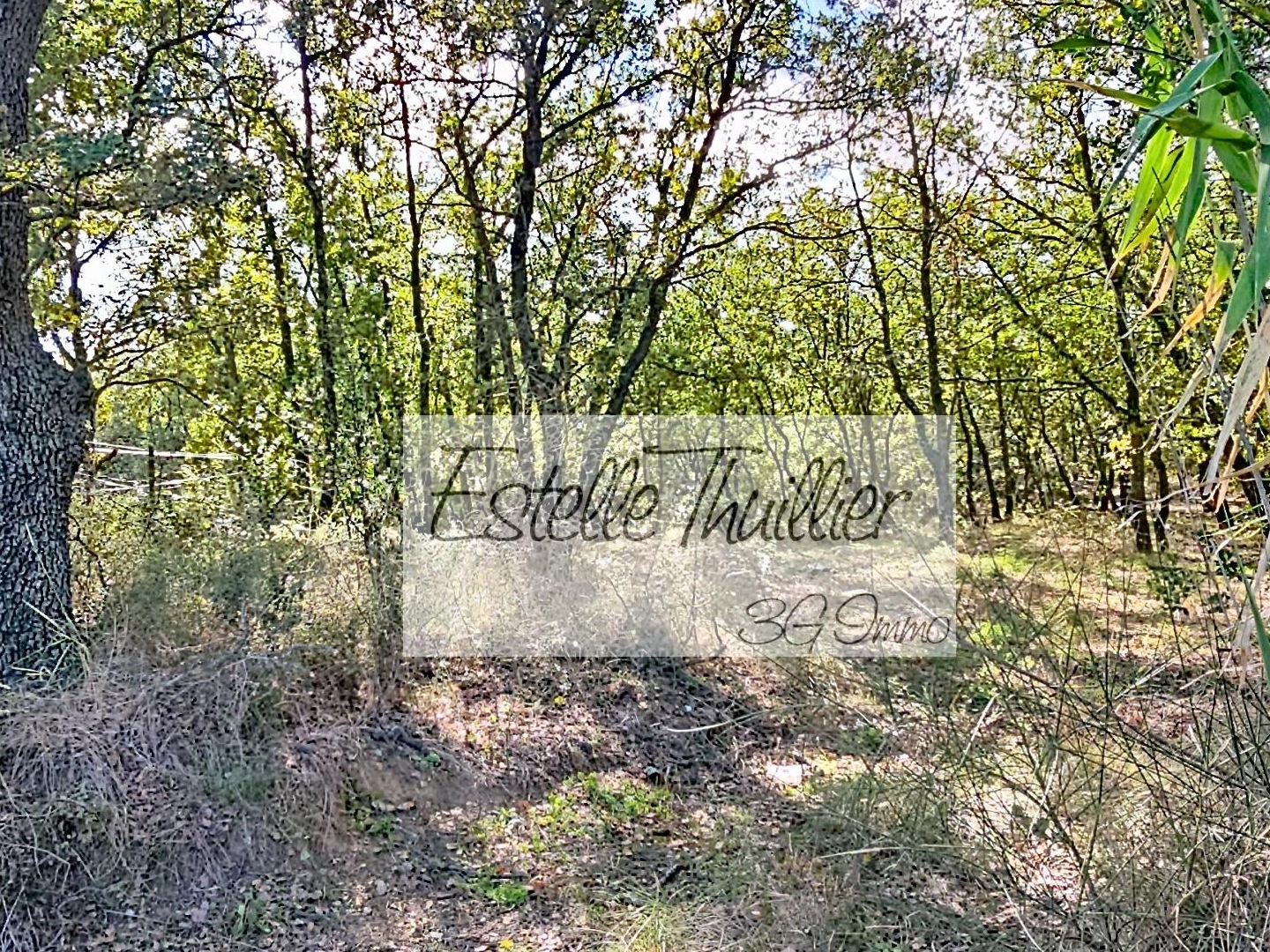 Terrain à vendre - 7799m2 - Ortaffa (66560)