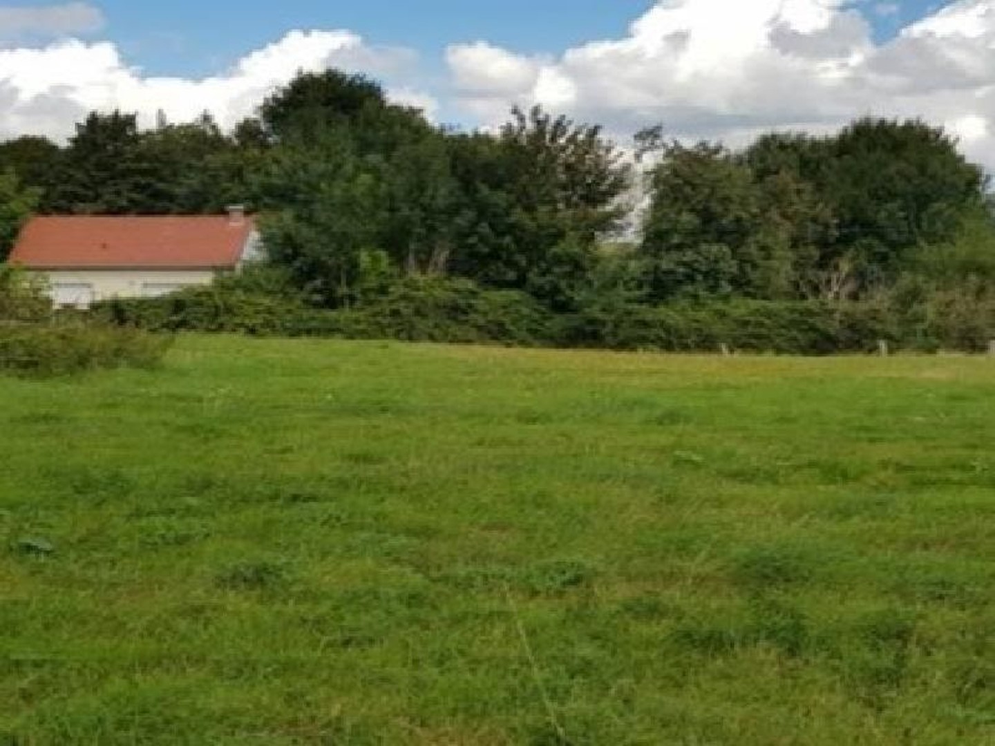 Terrain 1258 m²