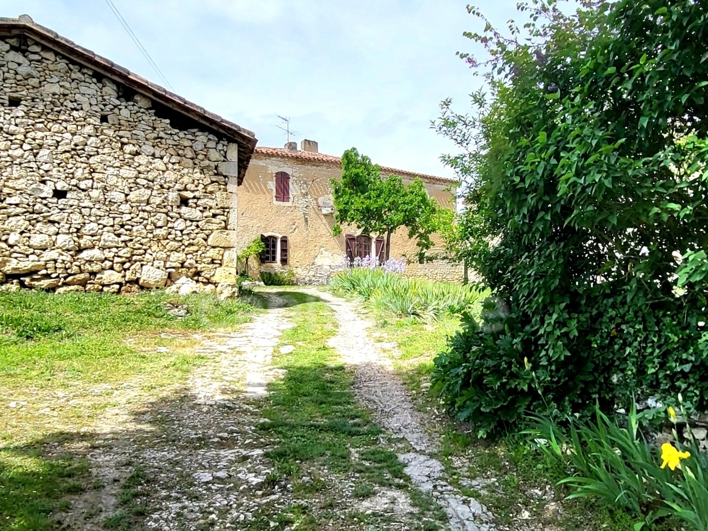 Maison à vendre - 8 pièces - 220m2 - Saint-Clar (32380)