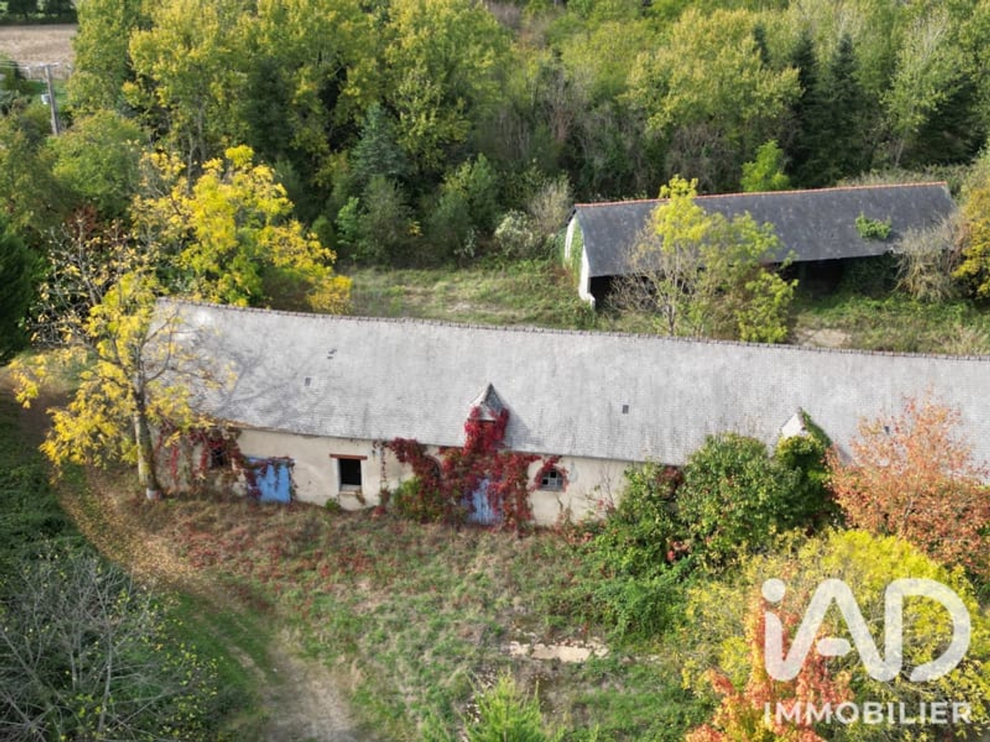 Maison à vendre - 5 pièces - 300m2 - Saint-Armel (35230)