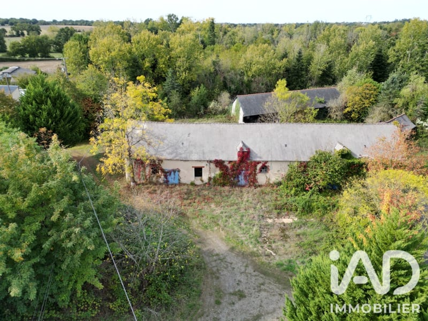 Maison à vendre - 5 pièces - 300m2 - Saint-Armel (35230)