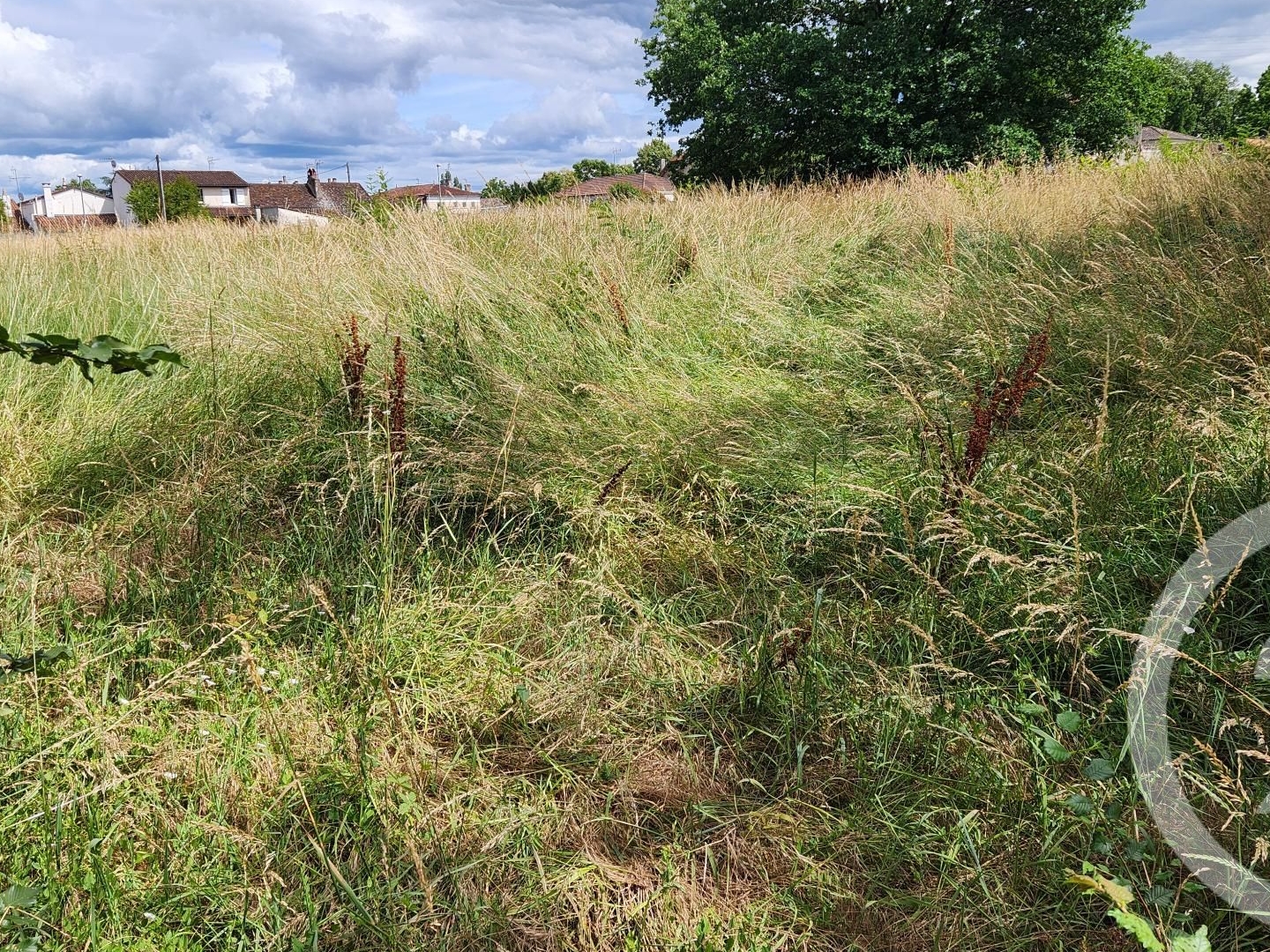 Terrain à vendre - 1083m2 - Montpon-Ménestérol (24700)