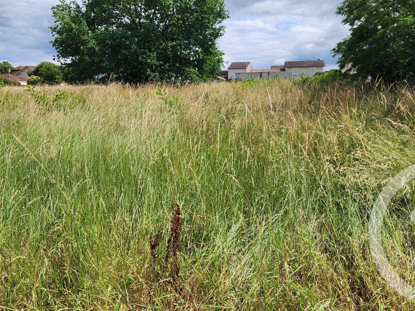 Terrain à vendre - 1083m2 - Montpon-Ménestérol (24700)