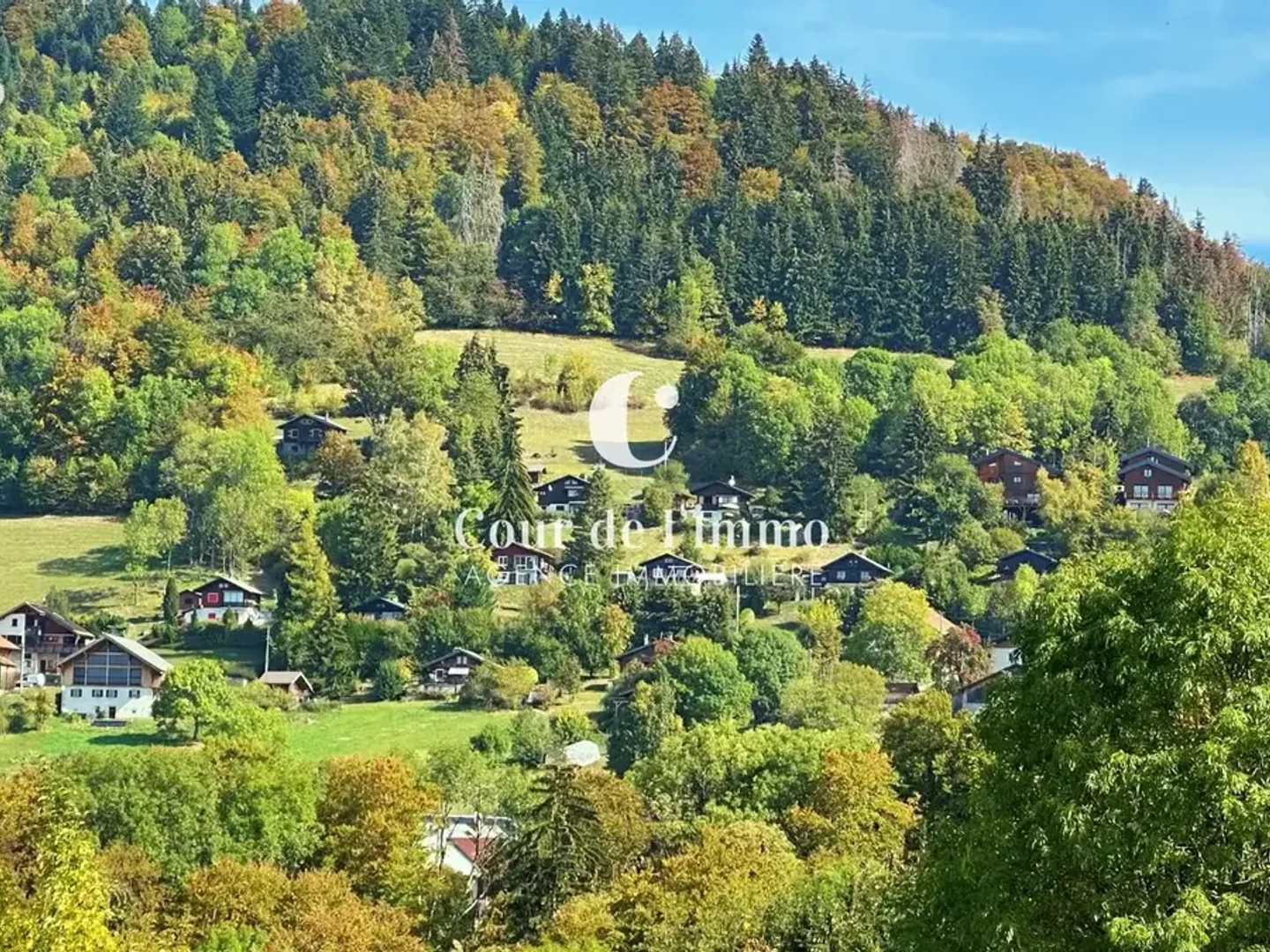Terrain à vendre - 7900m2 - Bogève (74250)