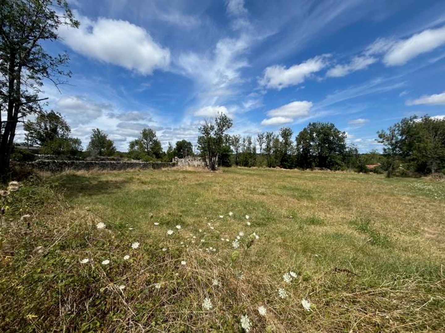 Terrain 3195 m²