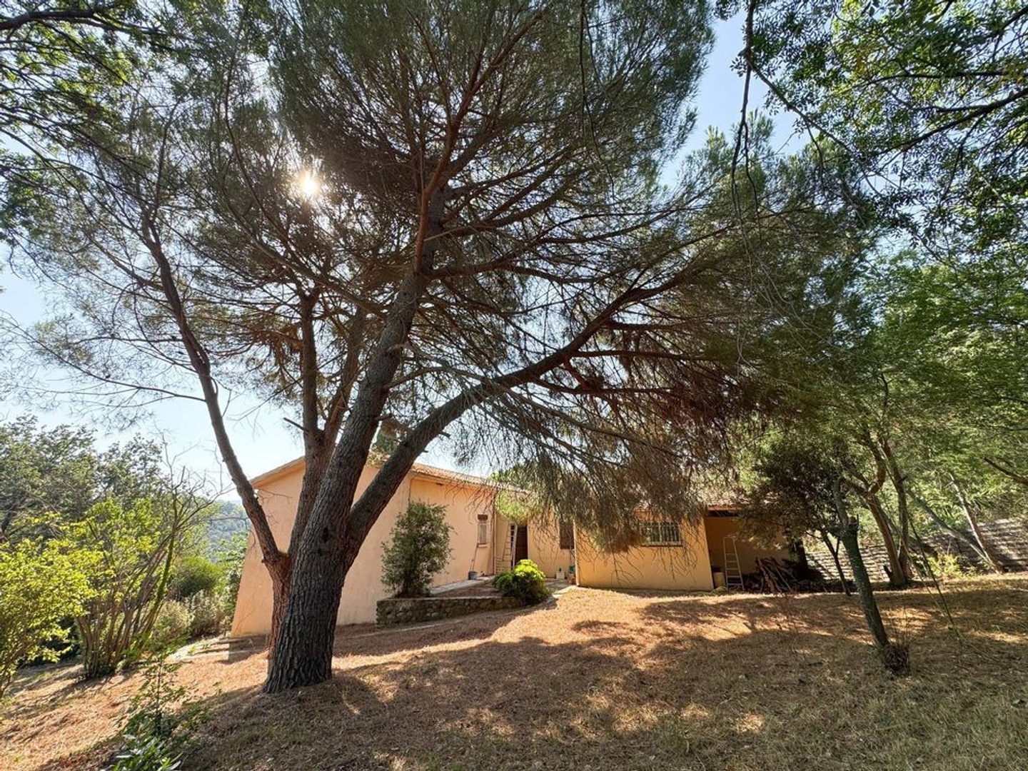 Maison à vendre - 7 pièces - 164m2 - Los Masos (66500)