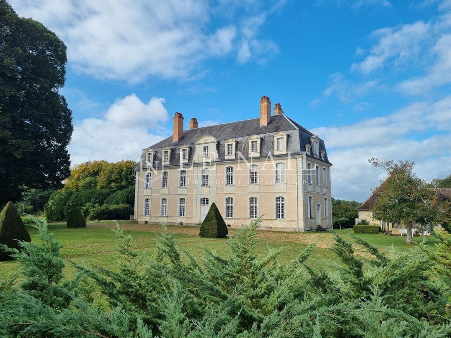 Maison à vendre - 22 pièces - 420m2 - La Flèche (72200)