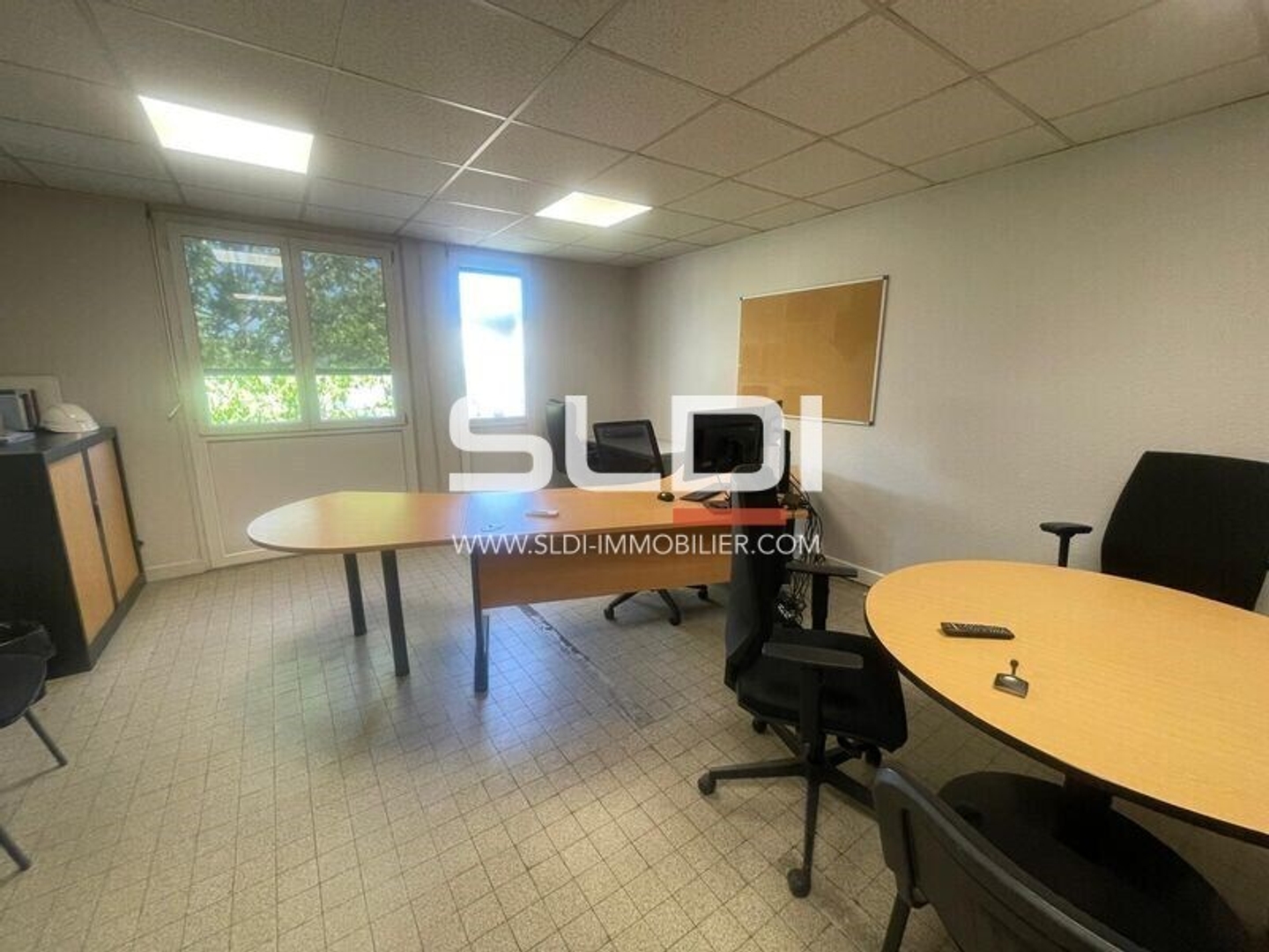 Vente Local d'activités Amberieux 69480