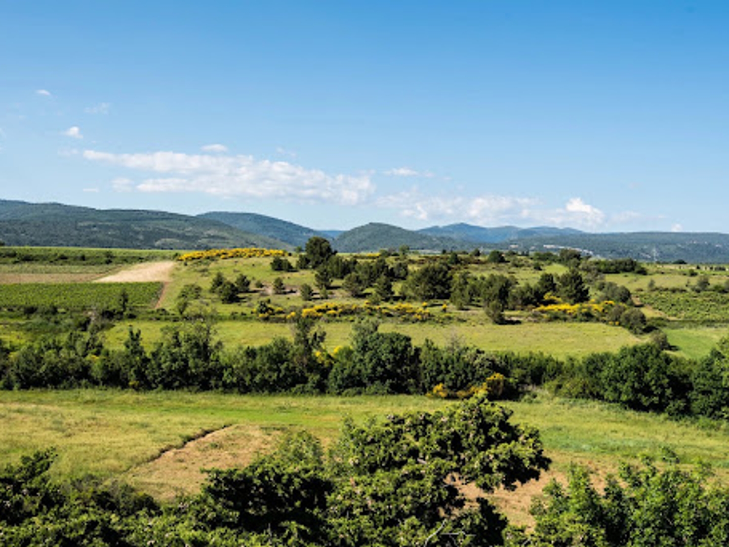 Maison à vendre - 1100m2 - Carcassonne (11000)