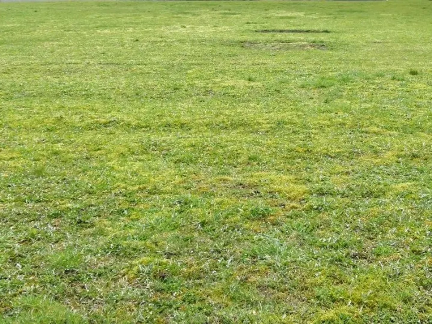 Terrain 760 m²