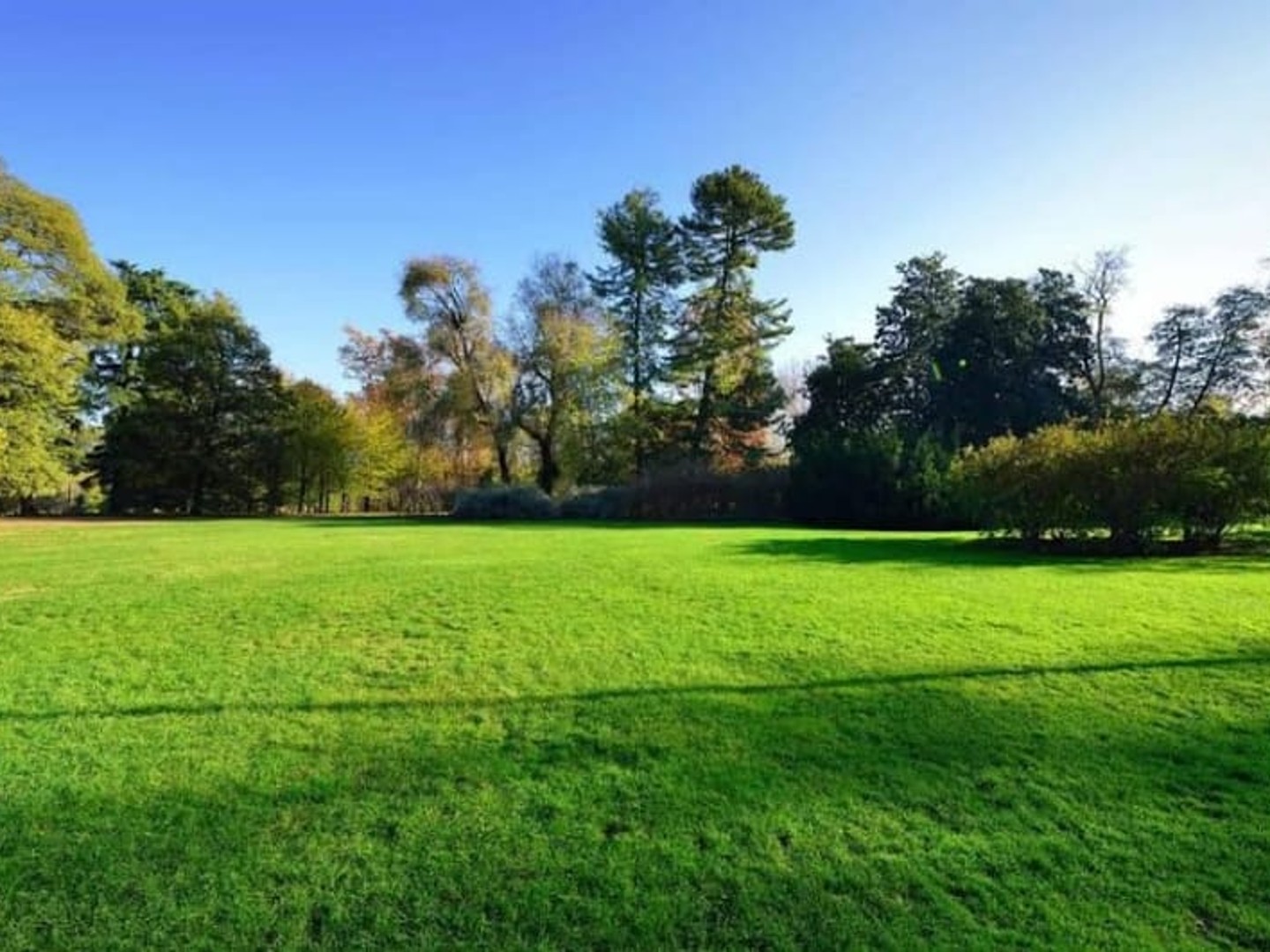 Terrain 333 m²