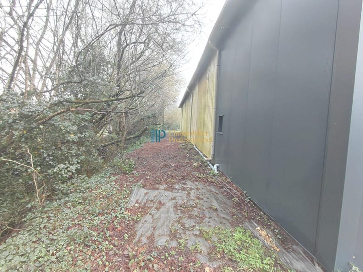 Locaux à vendre - 458m2 - Saint-Yvi (29140)