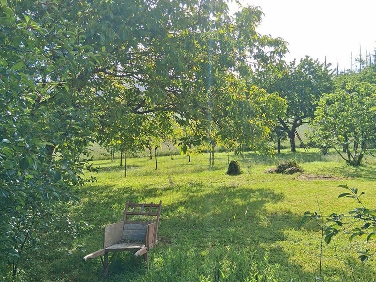 Maison à vendre - 3 pièces - 72m2 - Eaux-Puiseaux (10130)