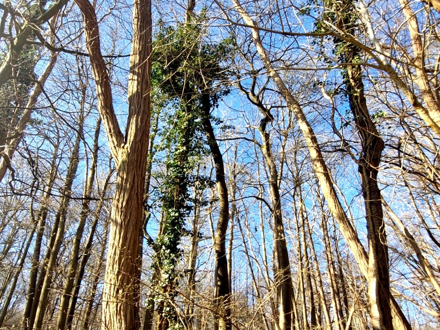 Terrain 2000 m²