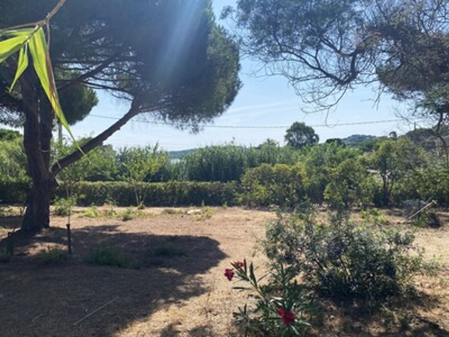 Terrain 880 m²