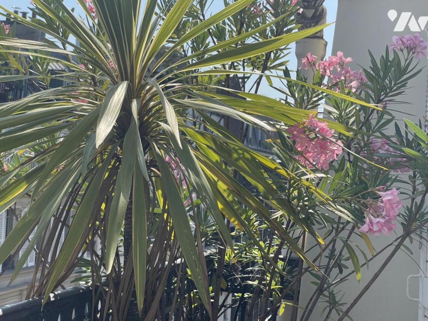 Appartement à vendre - 3 pièces - 59m2 - Paris 9e (75009)