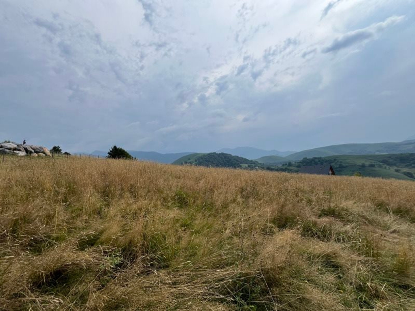 Terrain à vendre - 1370m2 - Arrodets-Ez-Angles (65100)