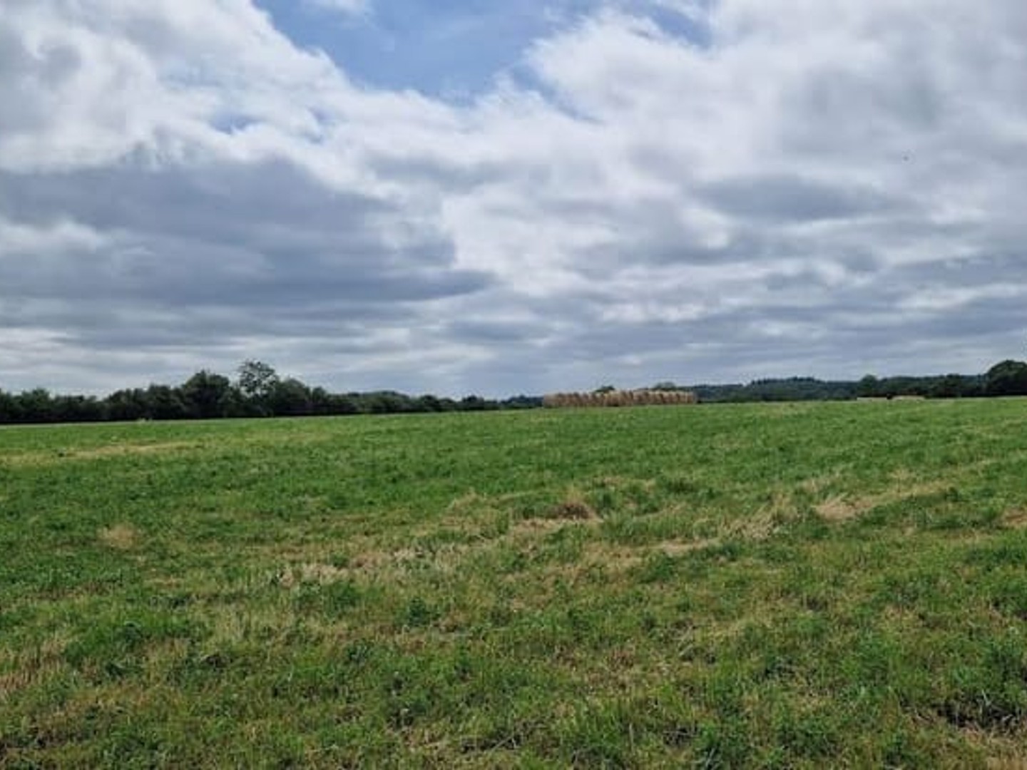 Terrain 569 m²
