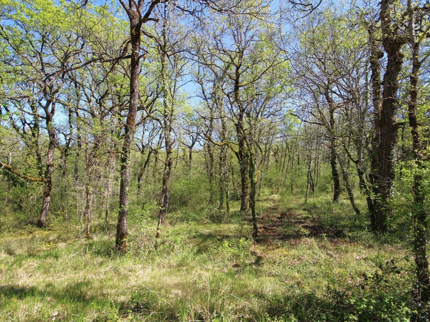 Terrain à vendre - 22925m2 - Monteils (12200)