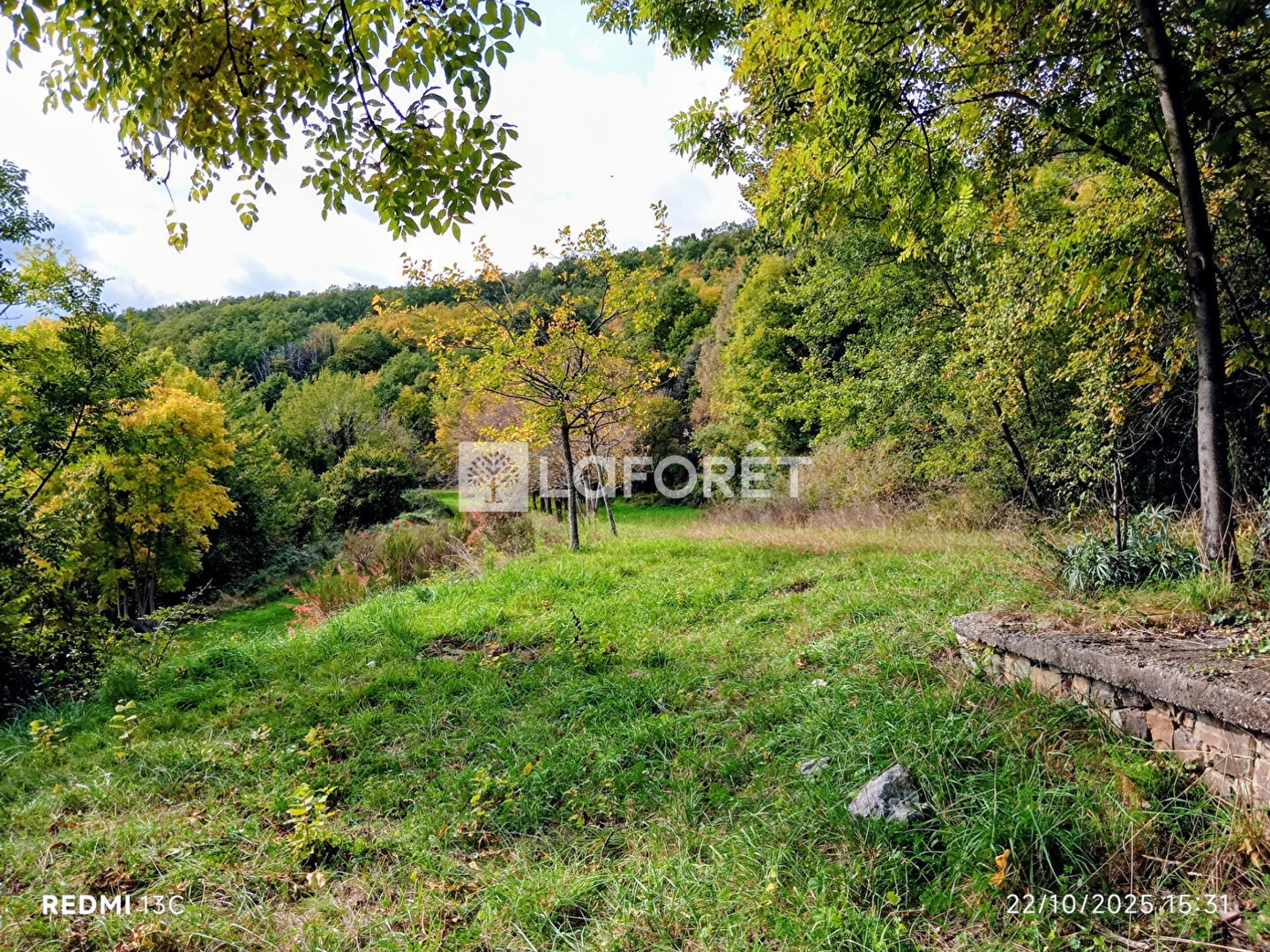 Maison à vendre - 3 pièces - 56m2 - Prats-De-Mollo-La... (66230)