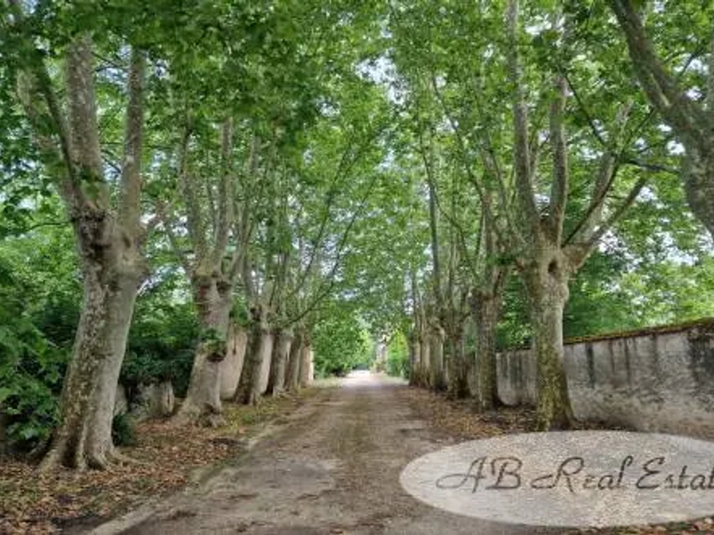 Maison à vendre - 840m2 - Carcassonne (11000)