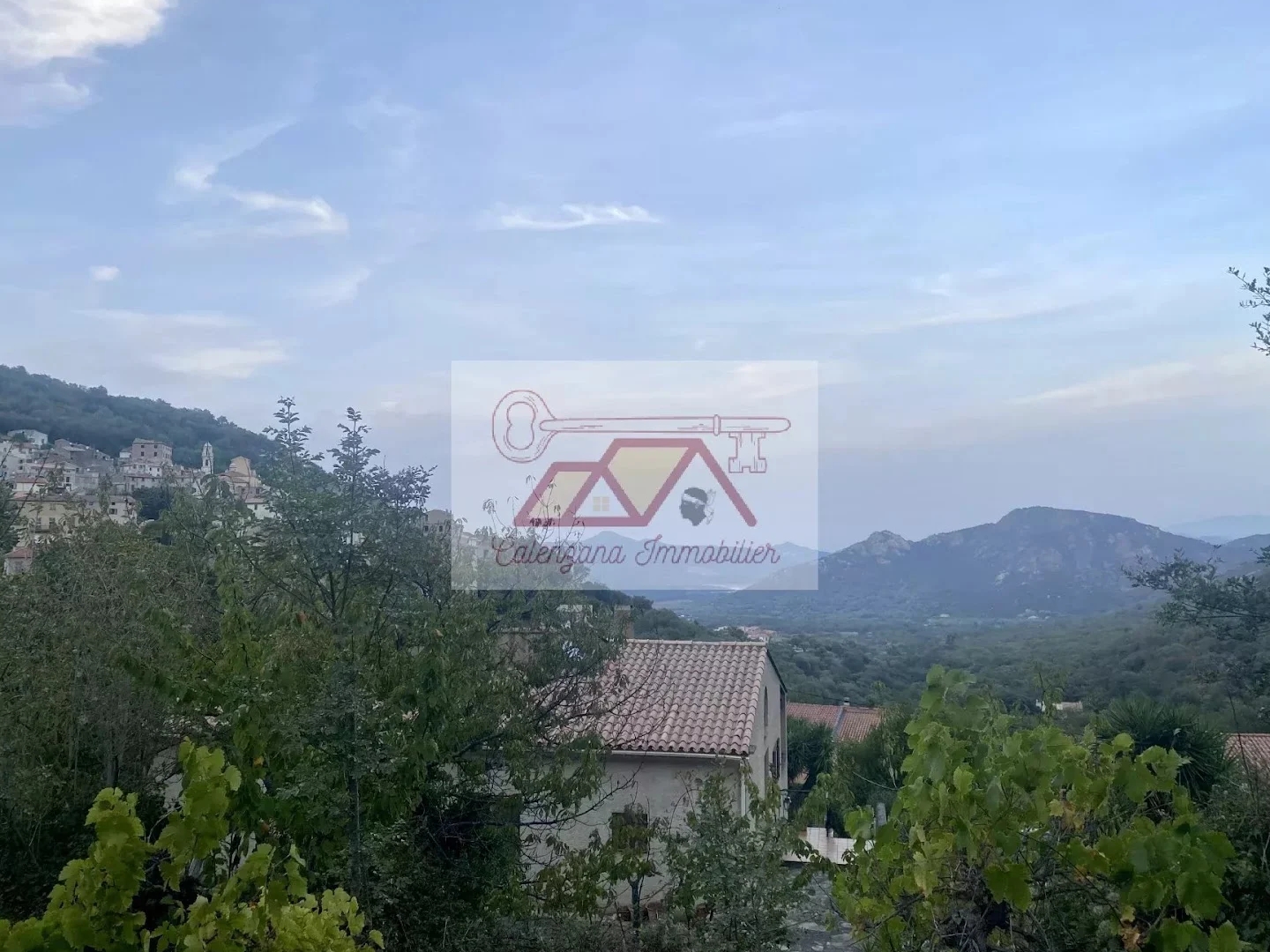 Terrain à vendre - 4663m2 - Muro (20225)