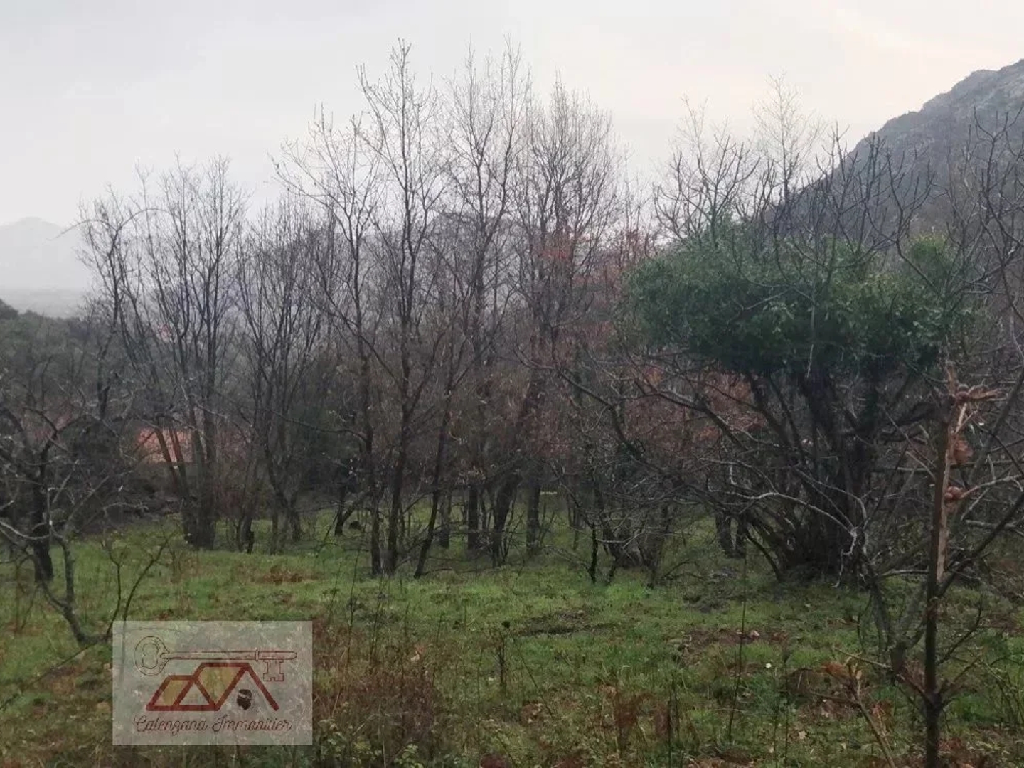 Terrain à vendre - 4663m2 - Muro (20225)